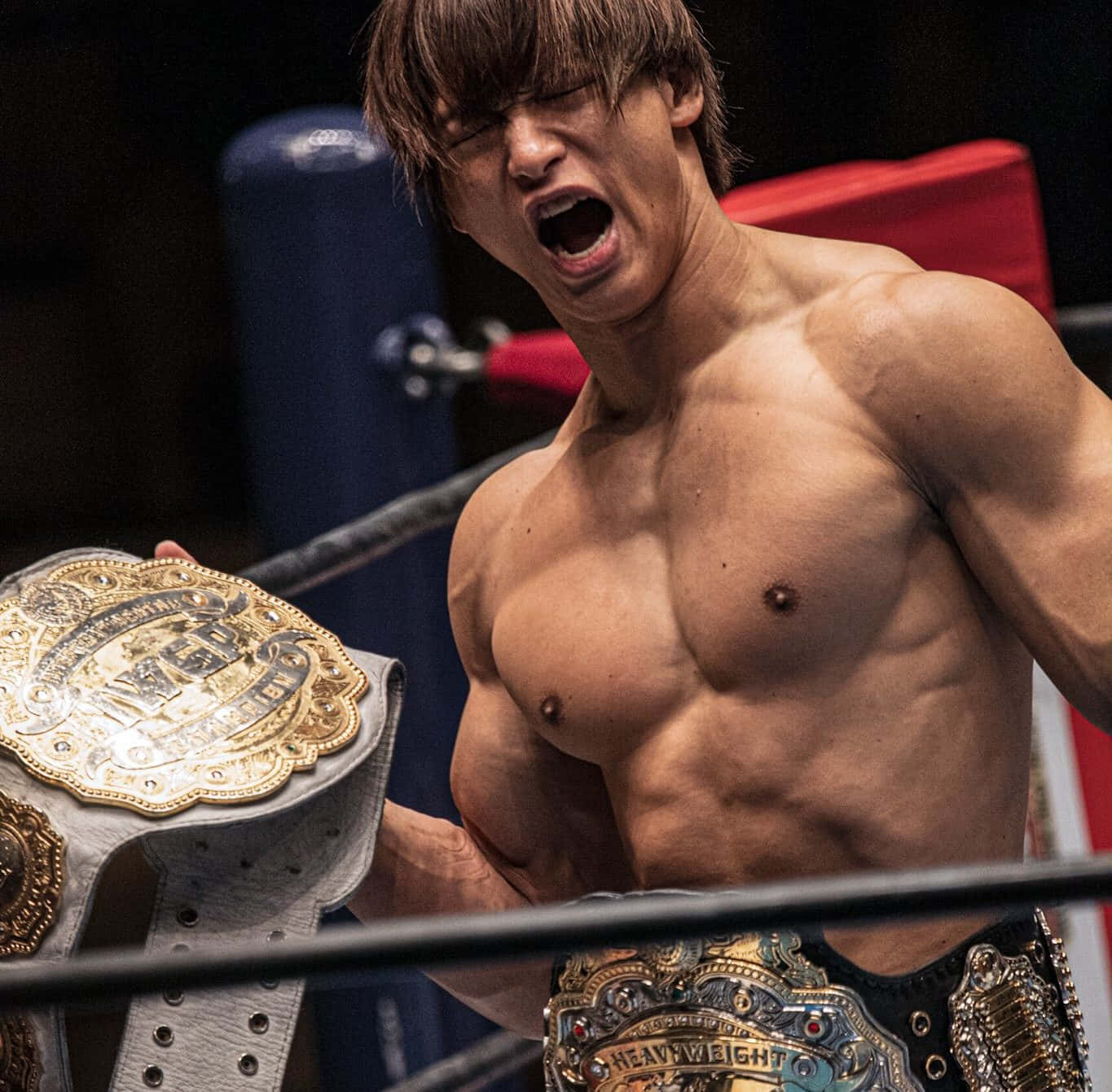 Hype Celebration Kota Ibushi