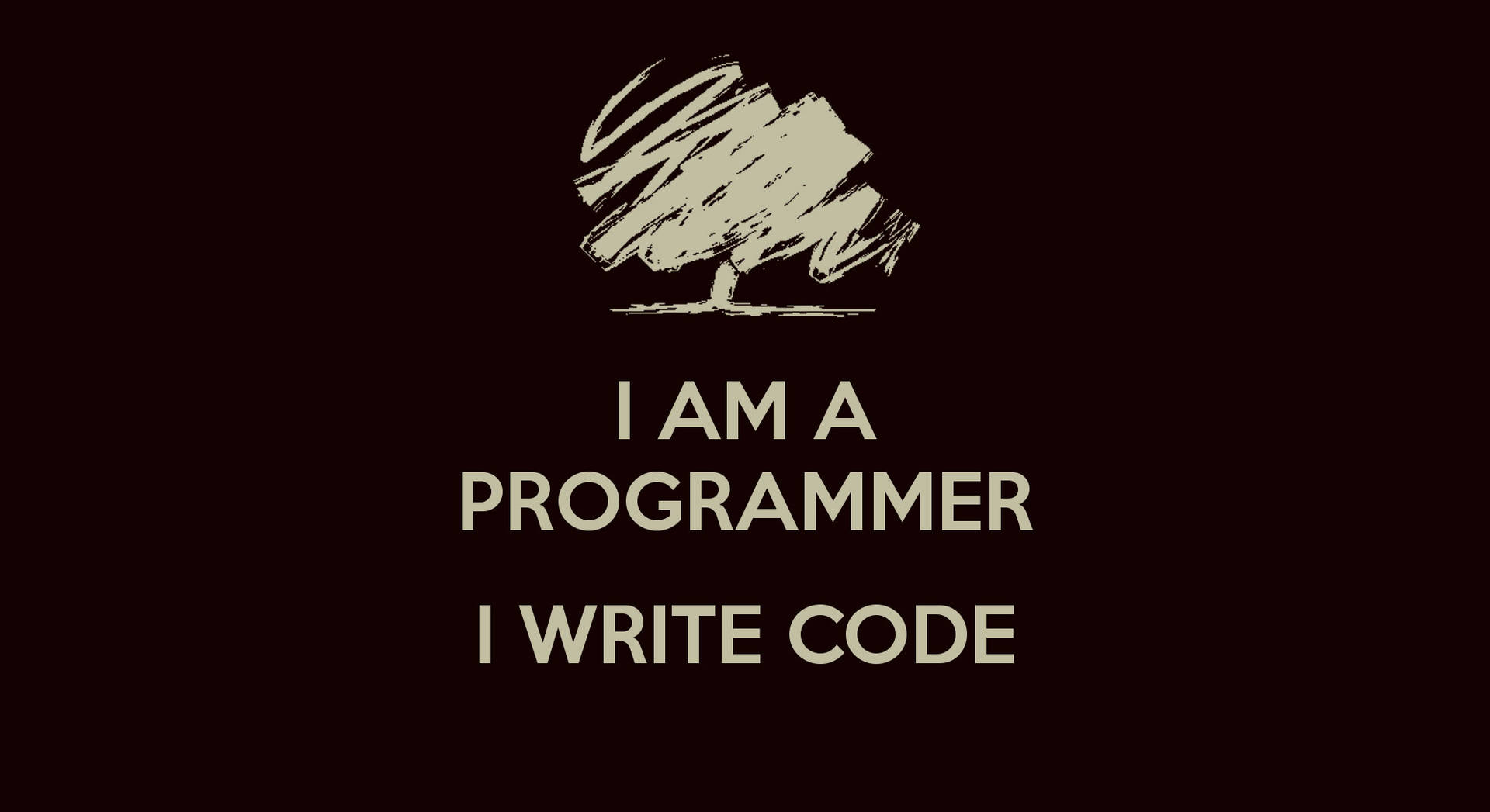 I Am A Programmer Programming