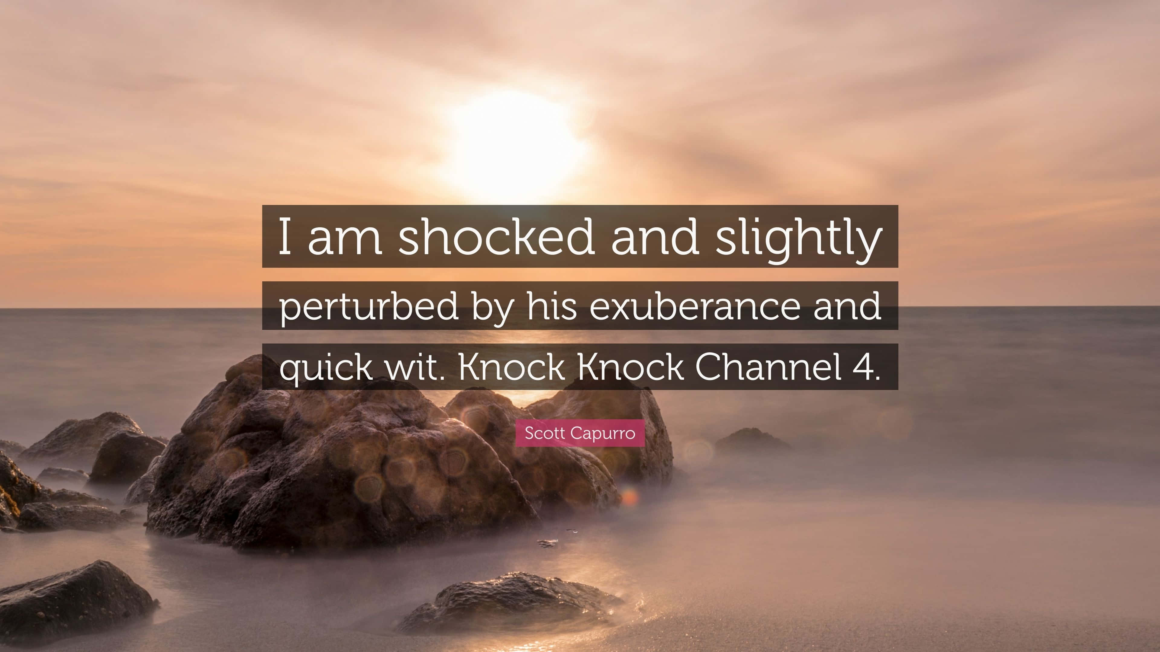 I Am Shocked And Perturbed Quote Background