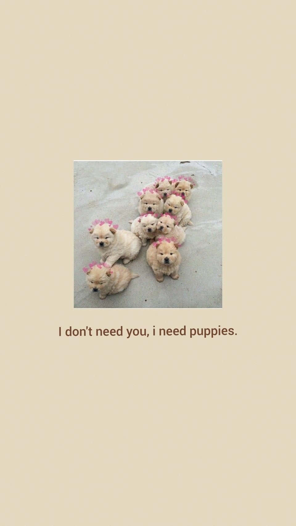I Don't Need You I Need Puppies Background