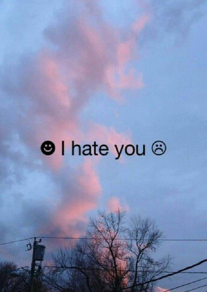 I Hate You With Smileys