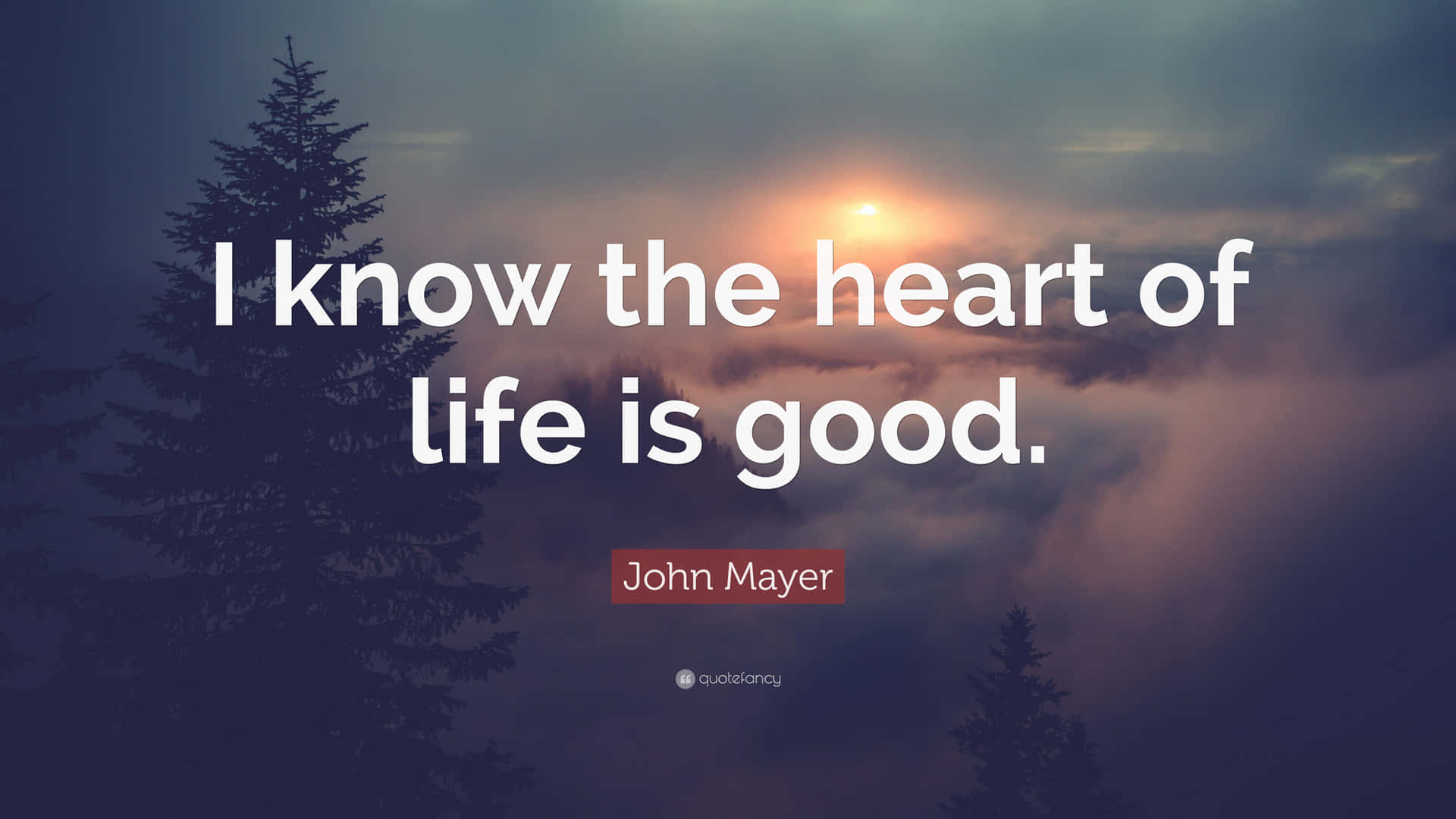 I Know The Heart Of Life Is Good