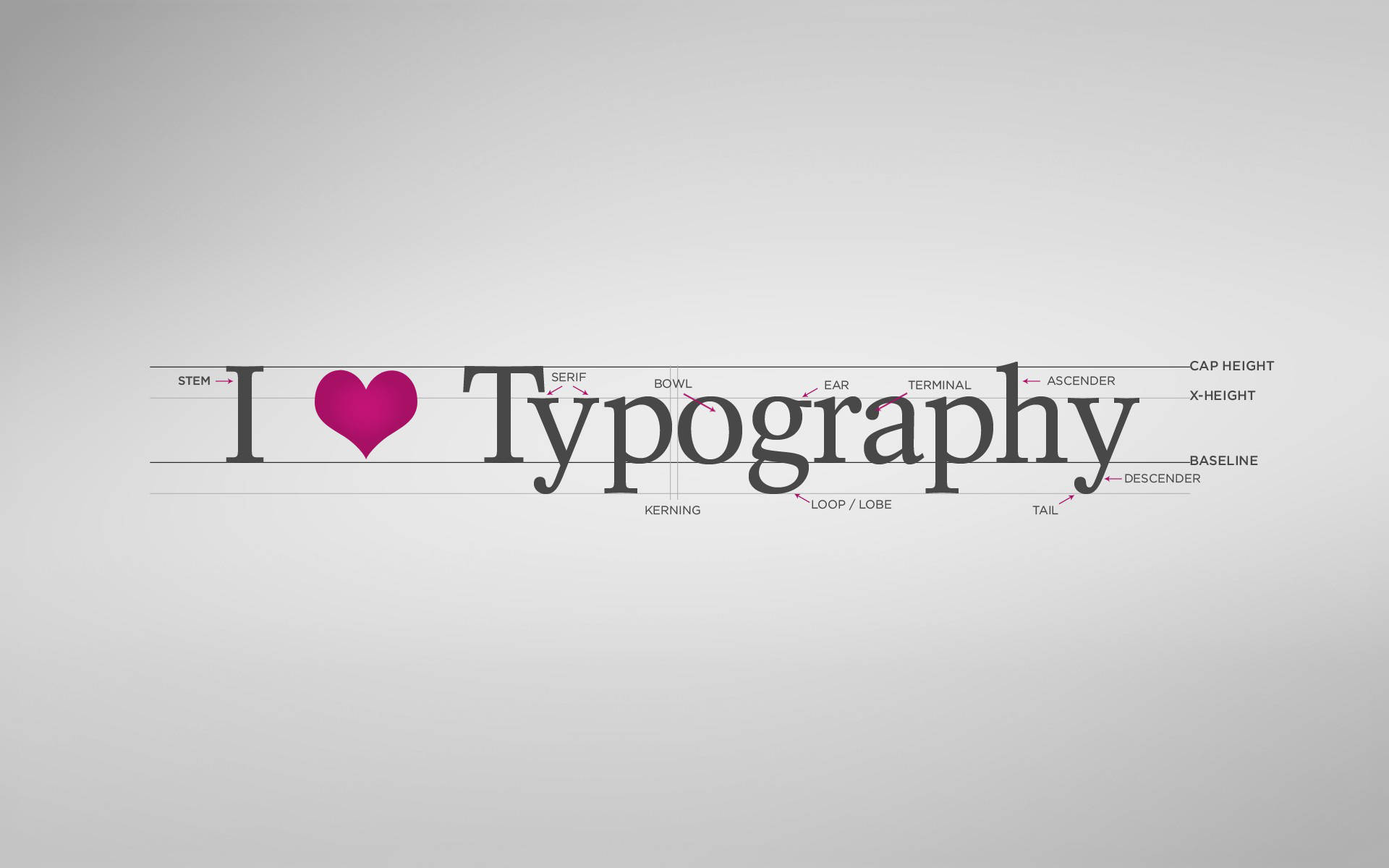 I Love Typography Background
