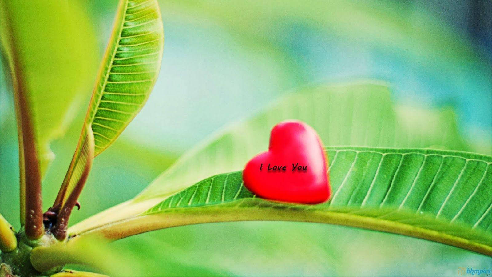 I Love You Heart Love Full Hd Background