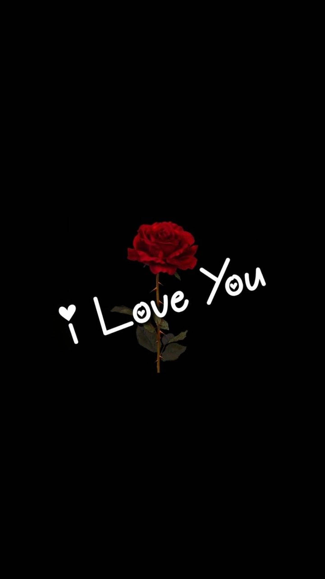 I Love You Red Rose Background