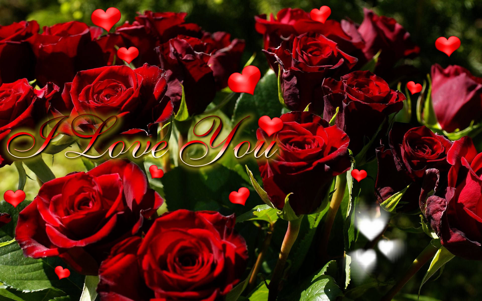 I Love You So Much With Roses Background