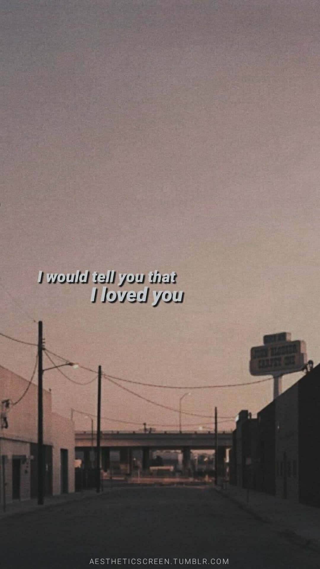 I Would Tell You That I Loved You Background