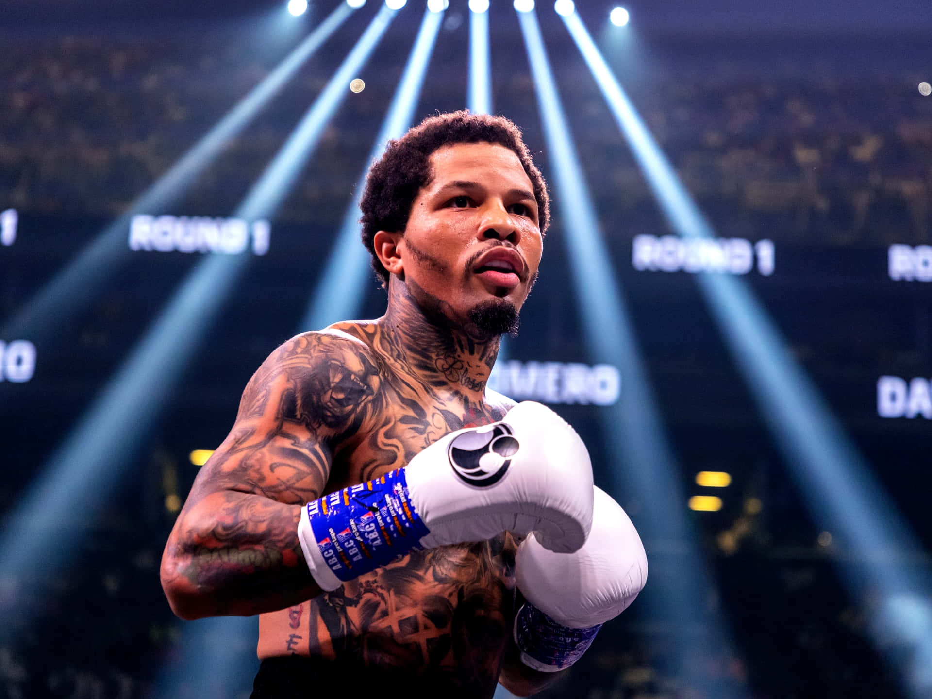 Ibf World Super Featherweight Champion Gervonta Davis Background