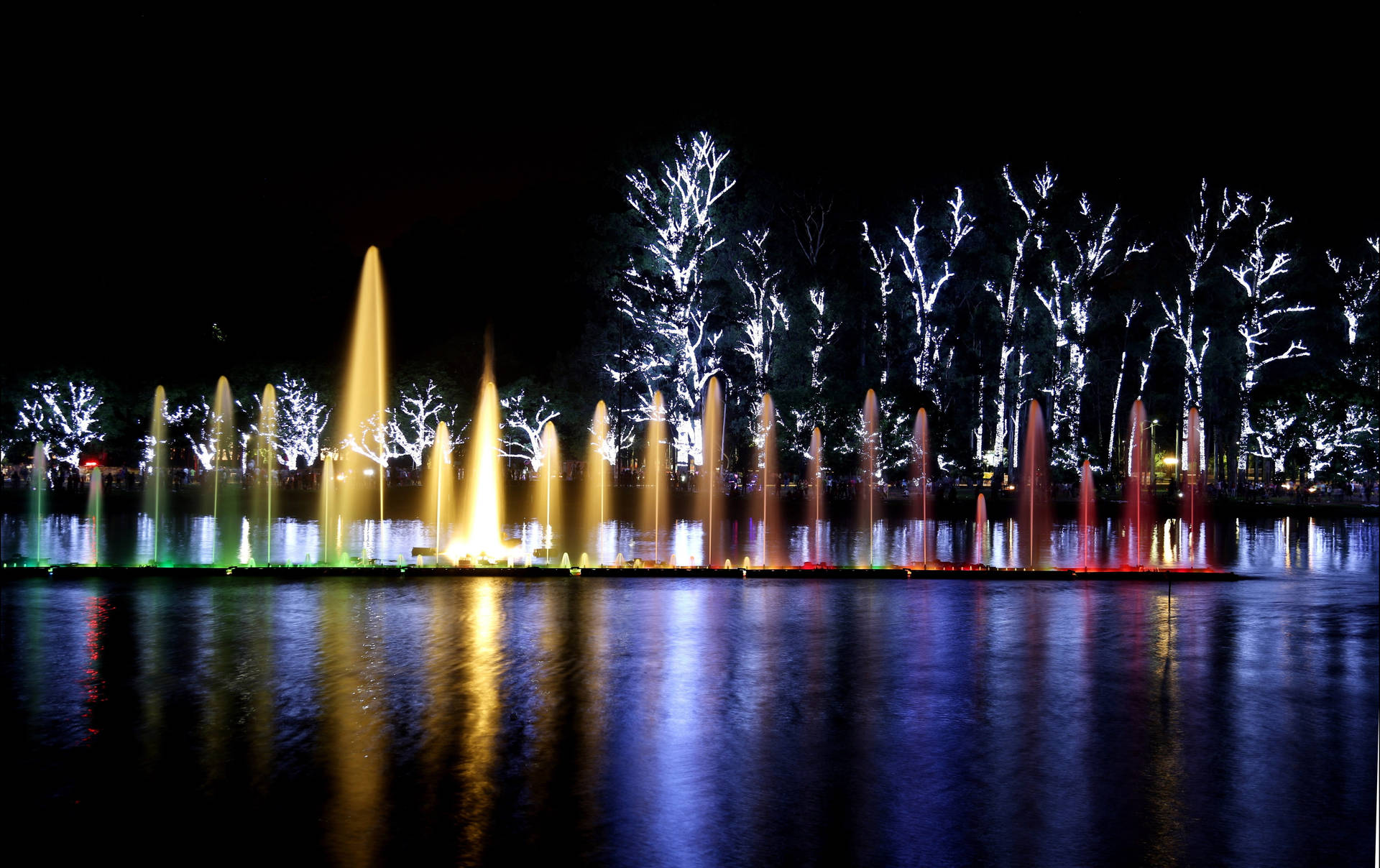 Ibirapuera Park Brazil Light Show Background