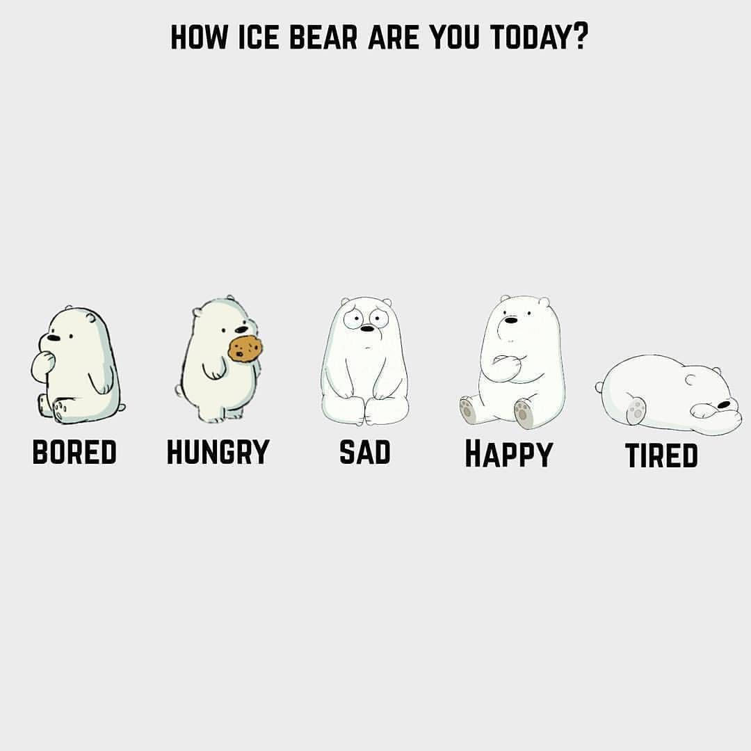 Ice Bear Cartoon Various Emotions