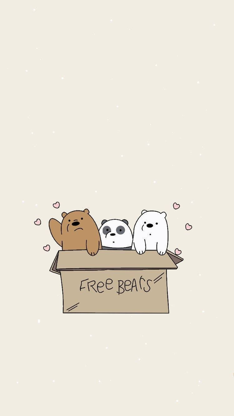 Ice Bear Panda Grizzly In Free Bears Box