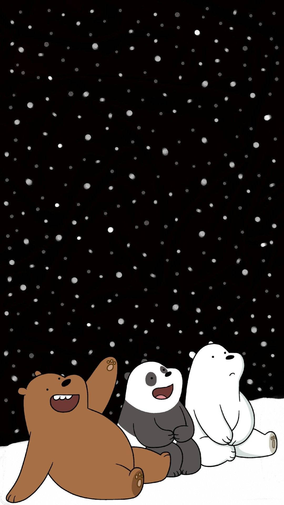 Ice Bear Panda Grizzly Watching Stars