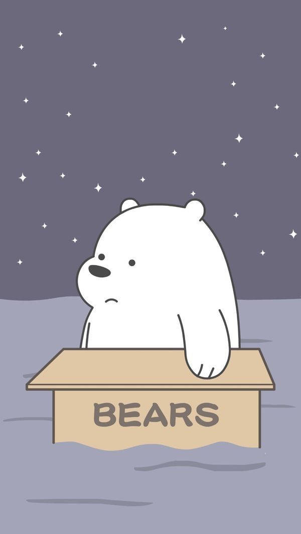 Ice Bear We Bare Bears Inside Box