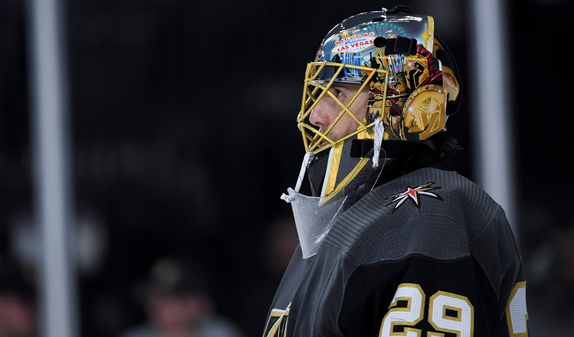 Ice Hockey Goaltender Marc-andre Fleury Background