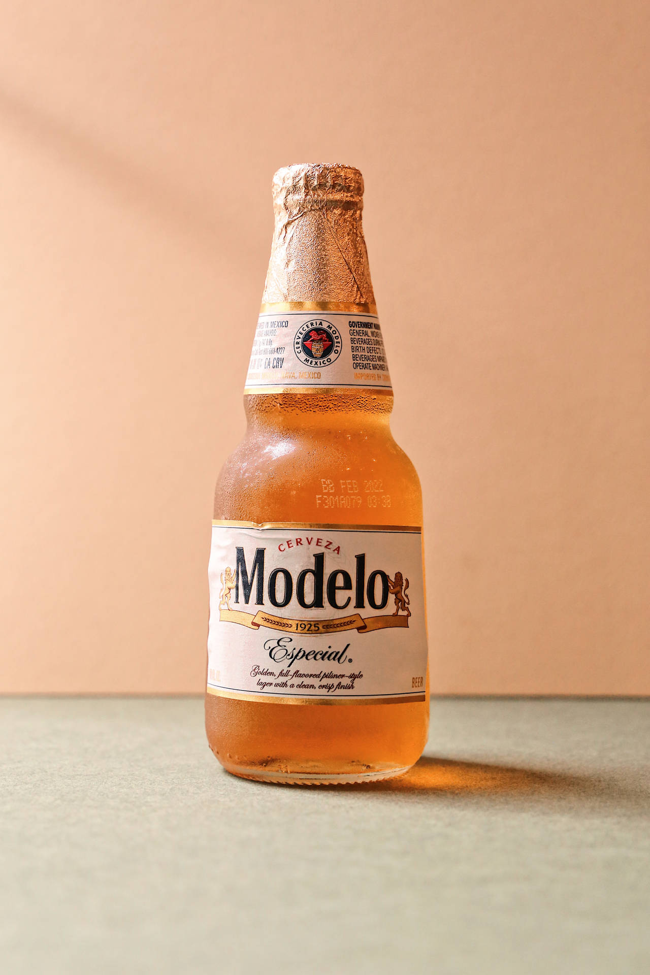 Iced Cold Bottle Of Modelo Especial