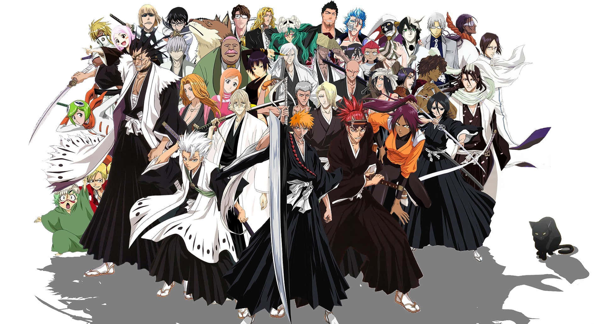 Ichigo With Bleach Anime All Characters Hd