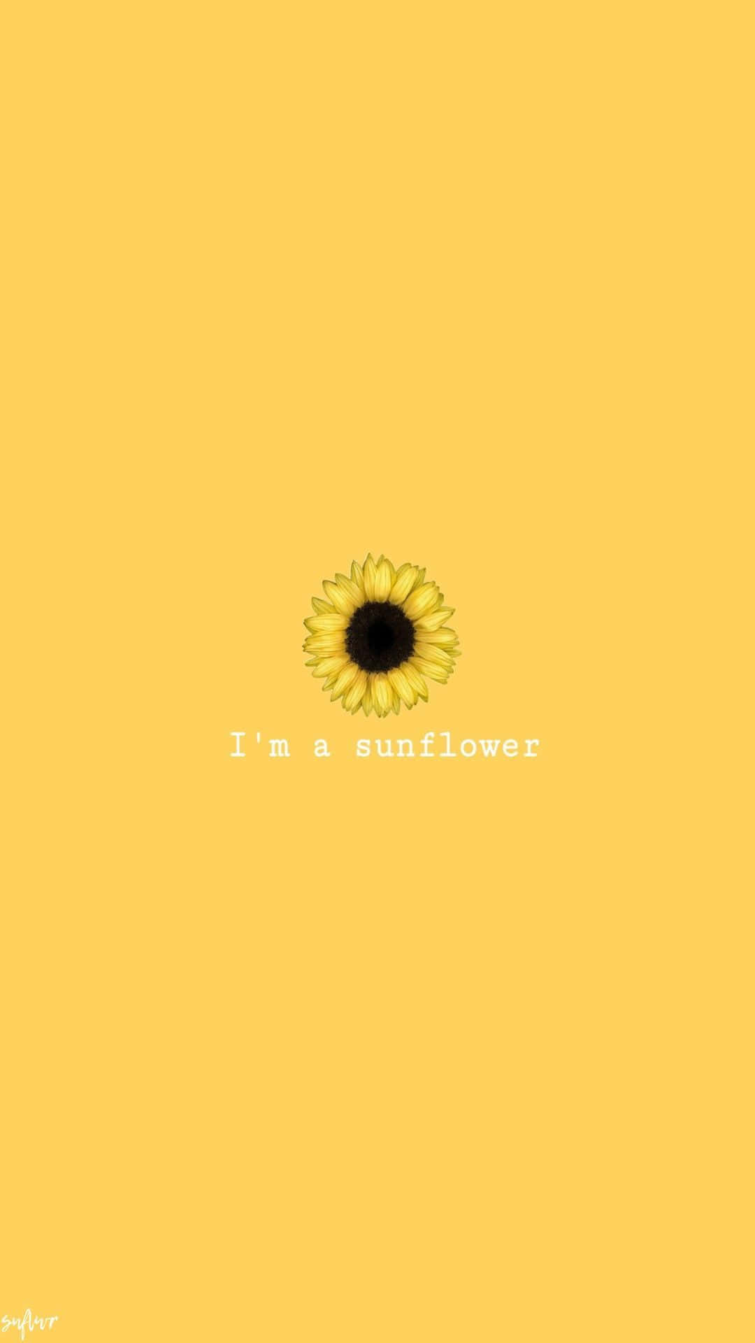 Icon Sunflower Yellow Tumblr Aesthetic Background