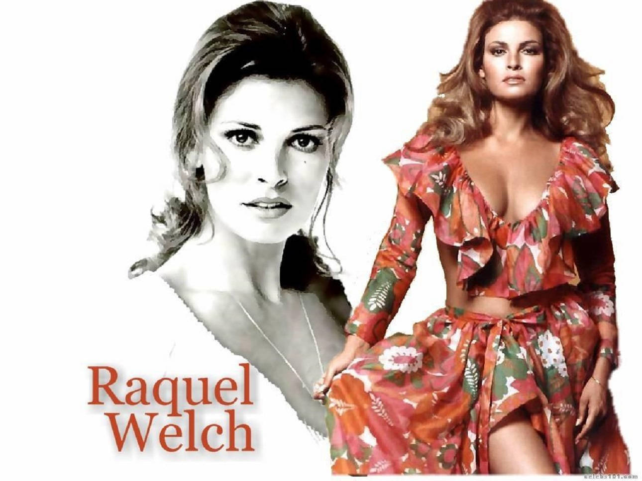 Iconic American Actress Raquel Welch In A Vintage Poster Background