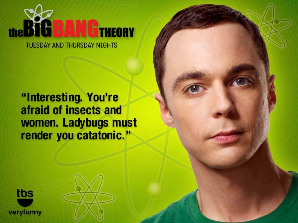 Iconic Catatonic Humor Of Sheldon Background