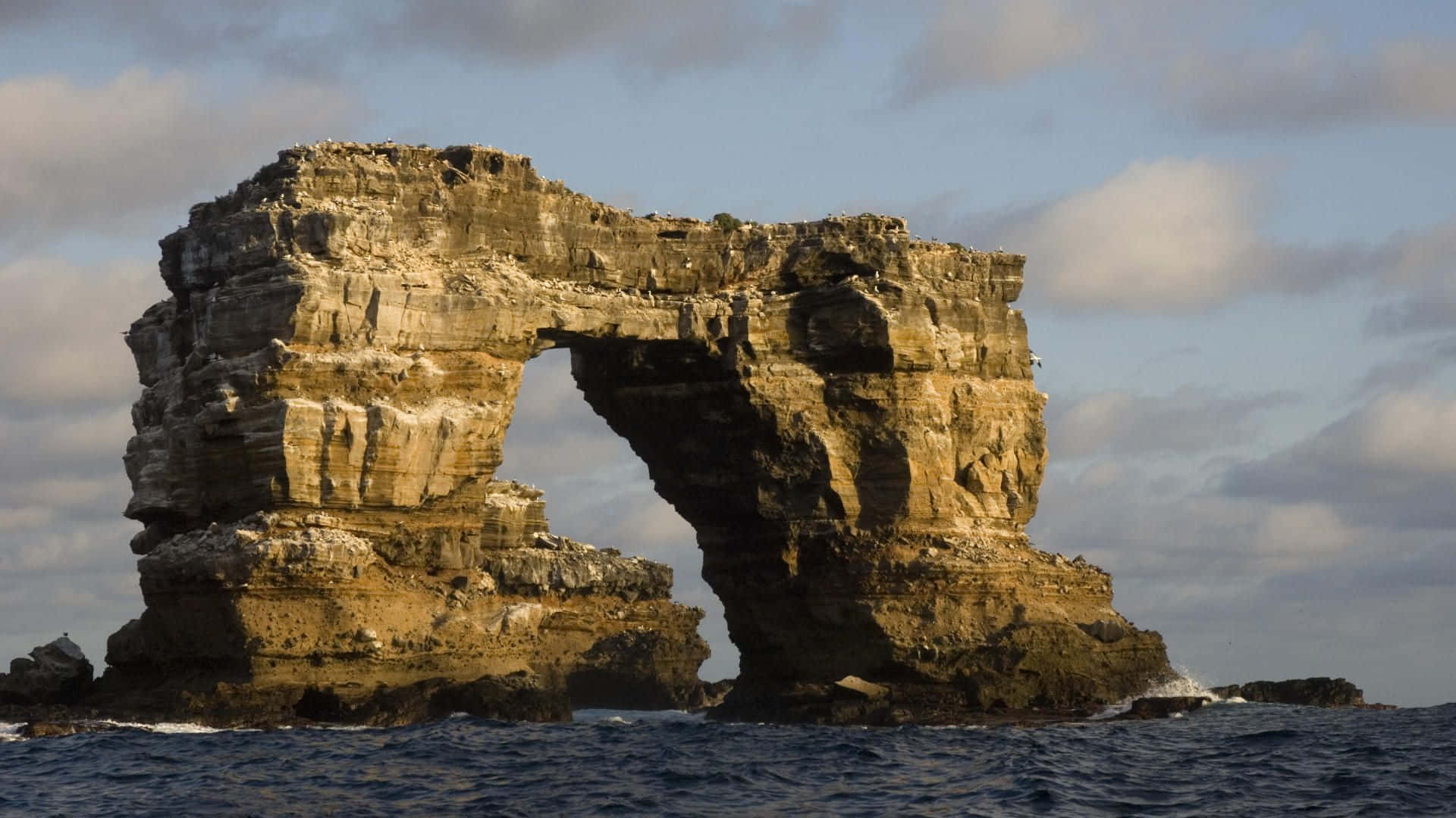 Iconic Darwin Arch In Galapagos Islands Background