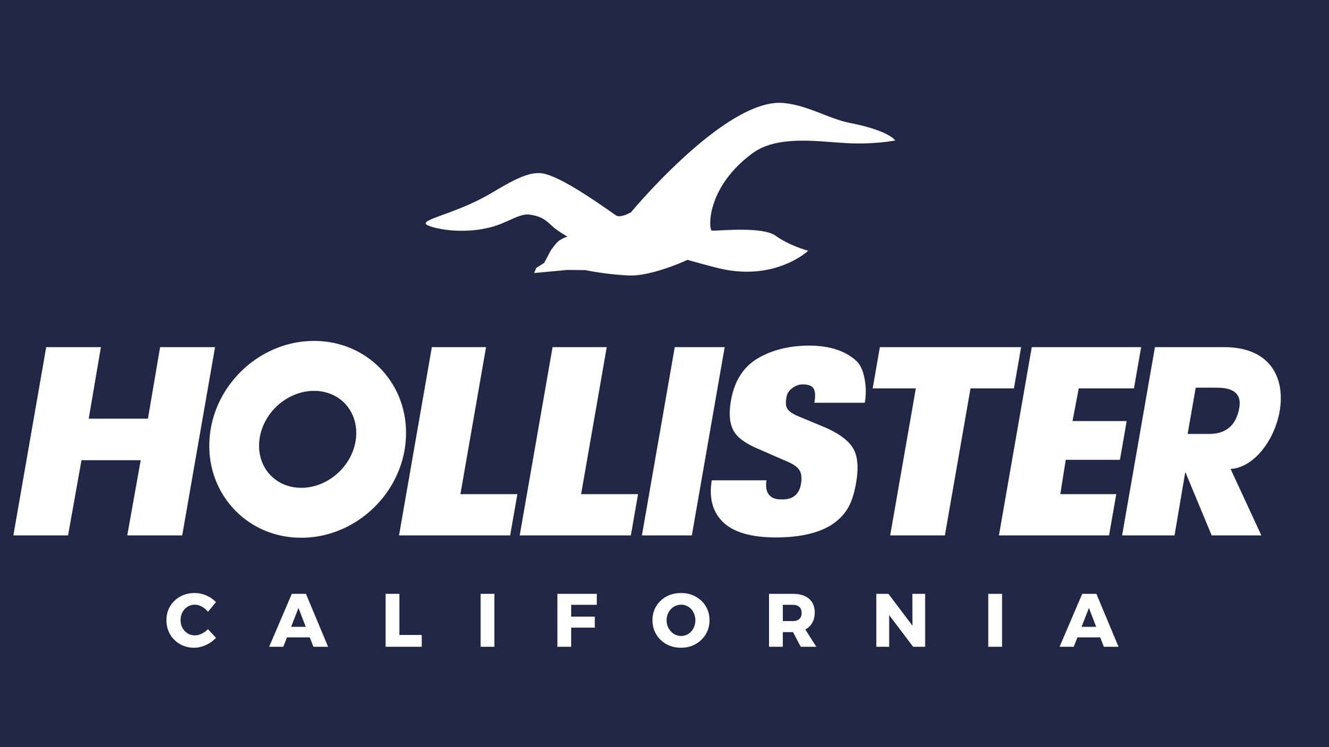 Iconic Hollister Seagull Logo Background