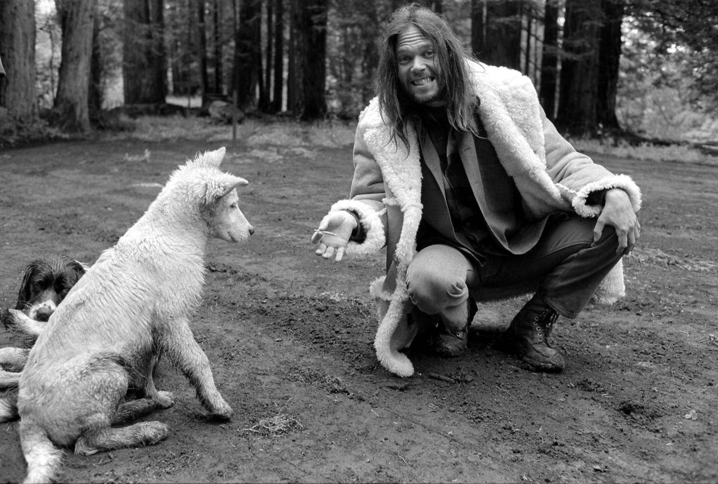 Iconic Music Legend - Neil Young In Monochrome Background