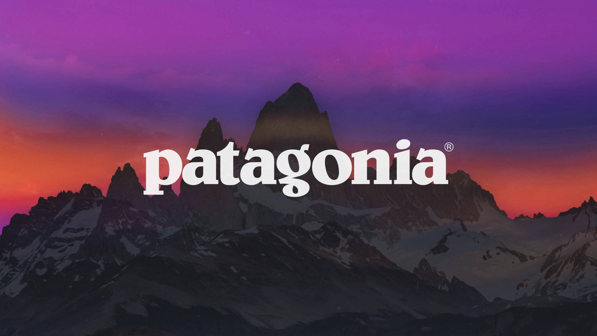 Iconic Patagonia Logo In High Resolution Background