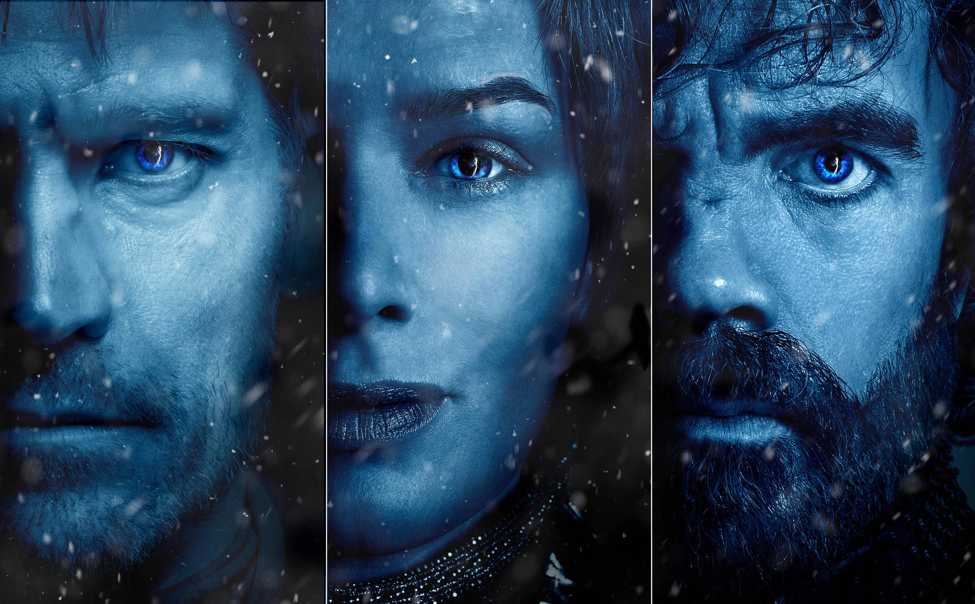 Icy Blue House Lannister