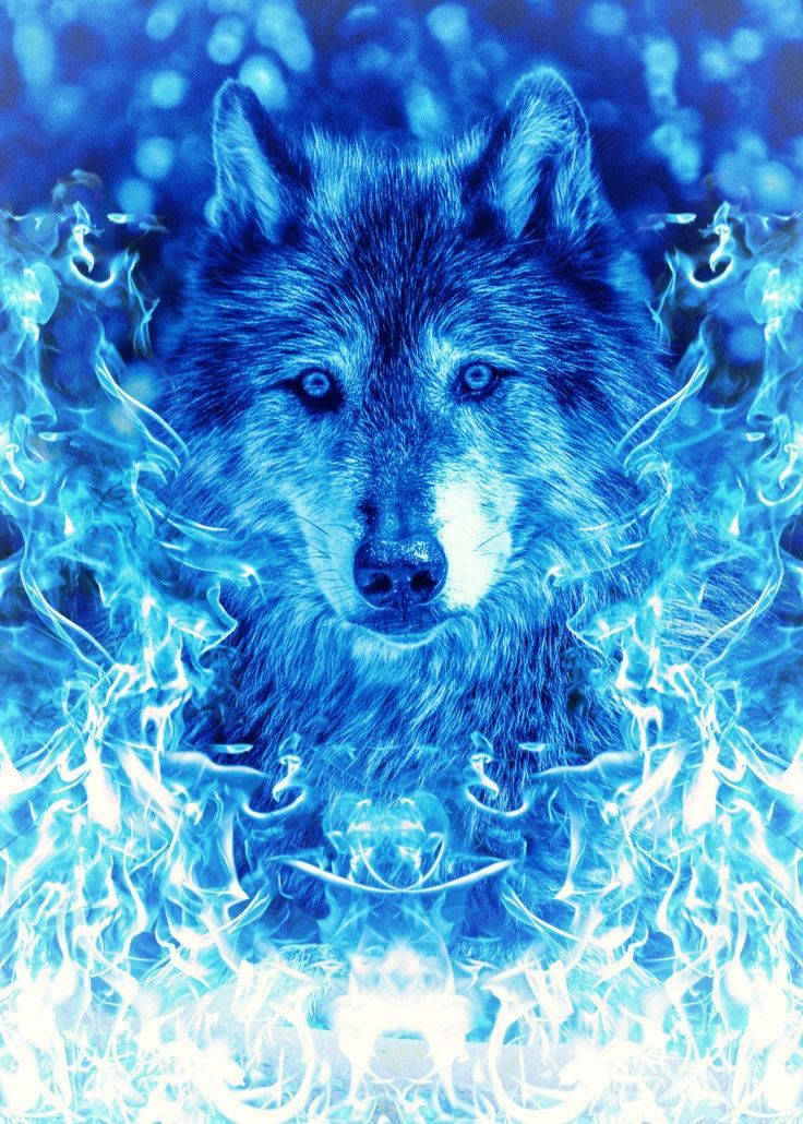 Icy Flame Blue Wolf Background
