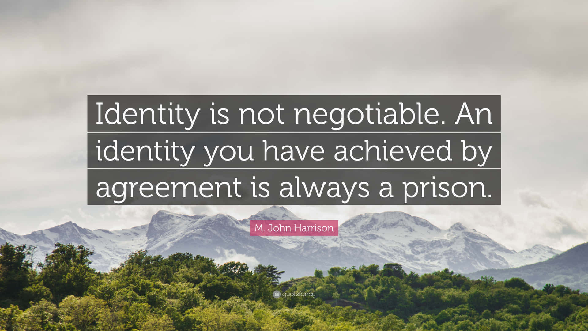 Identity Is Not Negotiable Background