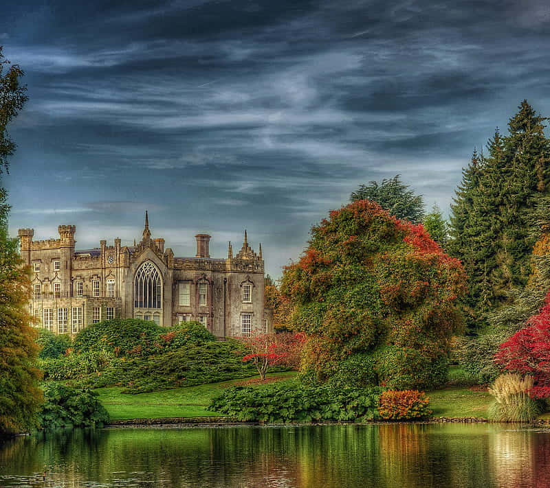 Idyllic Autumn Trees Background