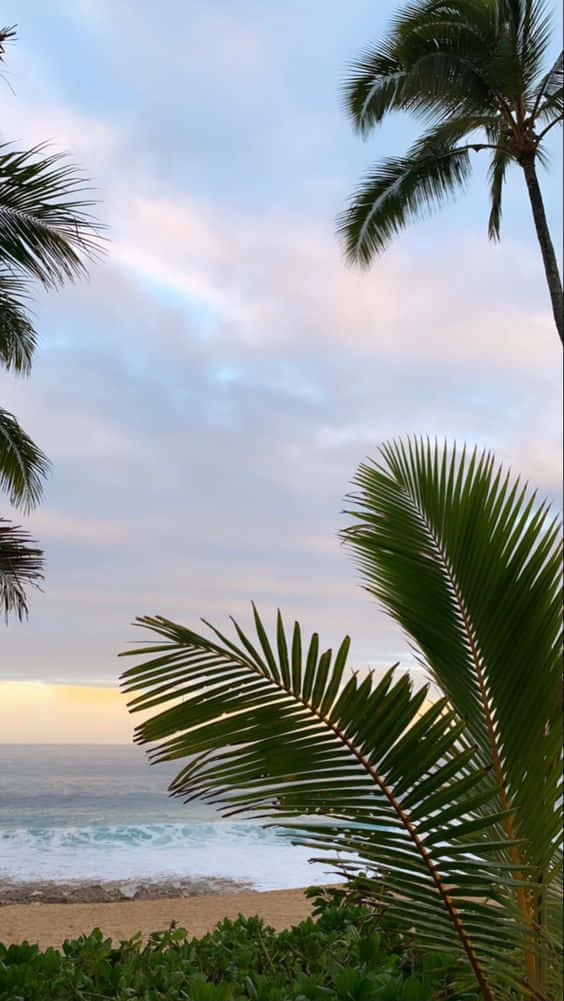 Idyllic Landscape Of Hawaii Background