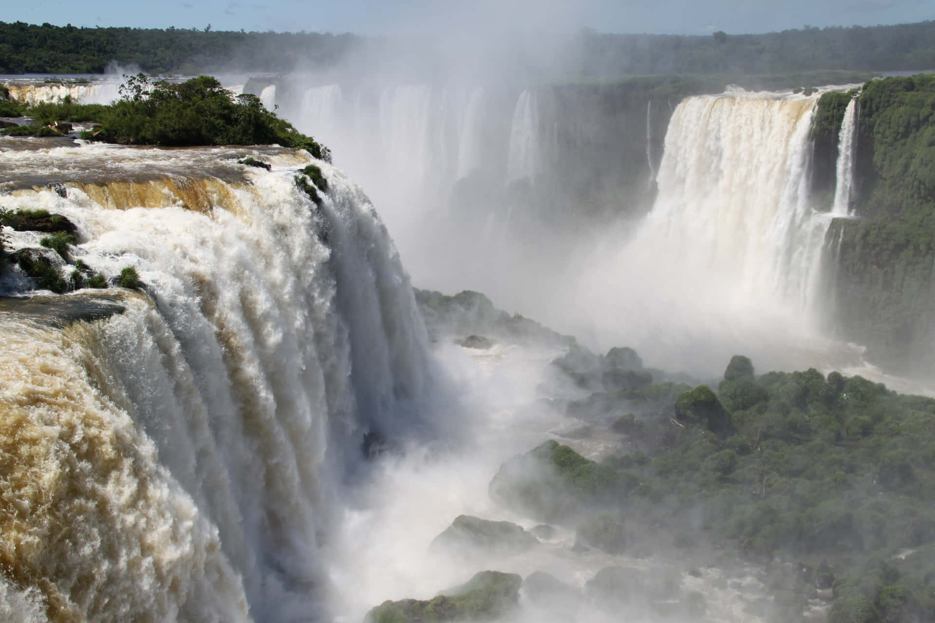 Iguazu Falls Home To Endangered Animals