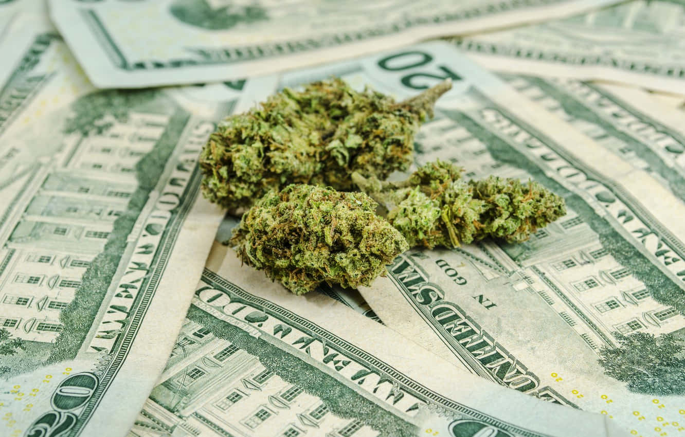Illicit Cannabis Money Background