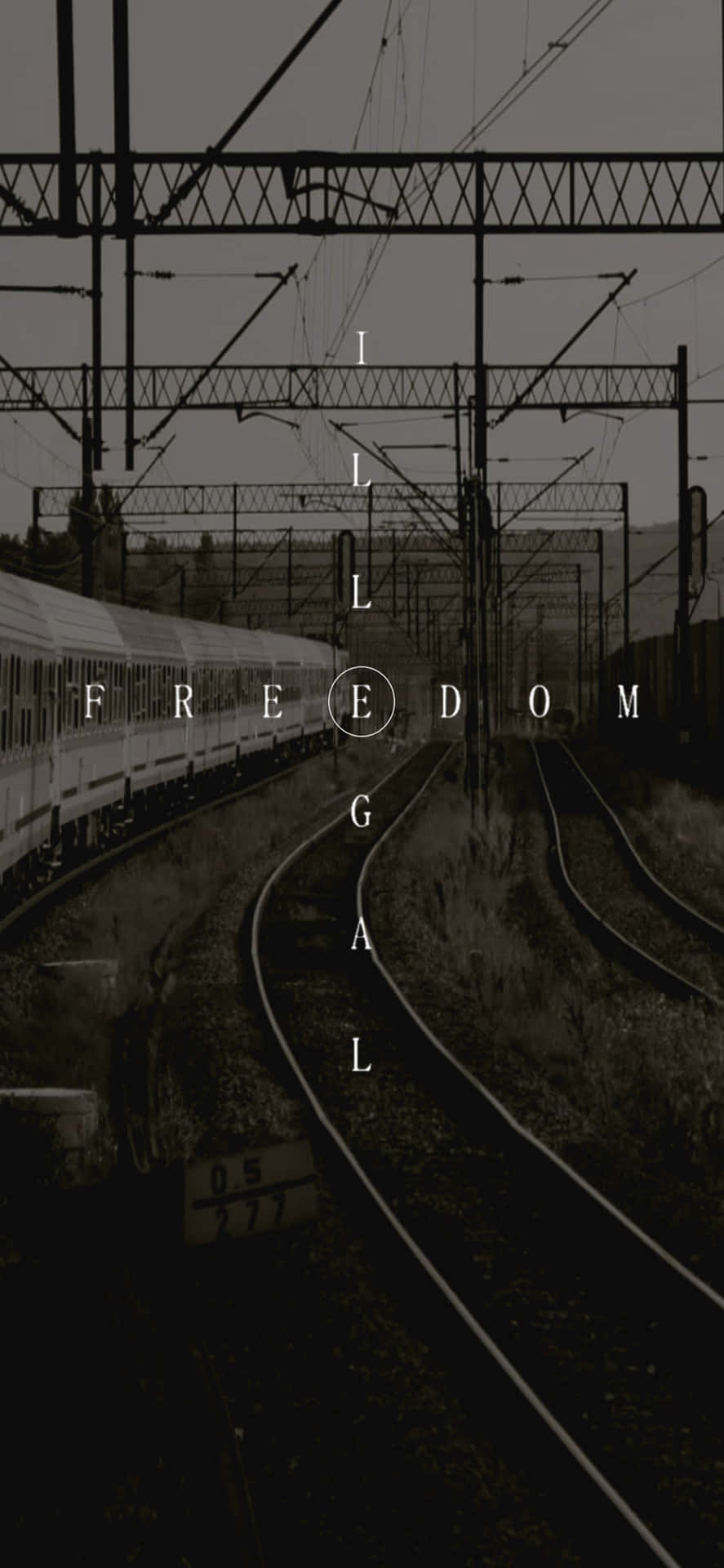 Illicit Freedom Background