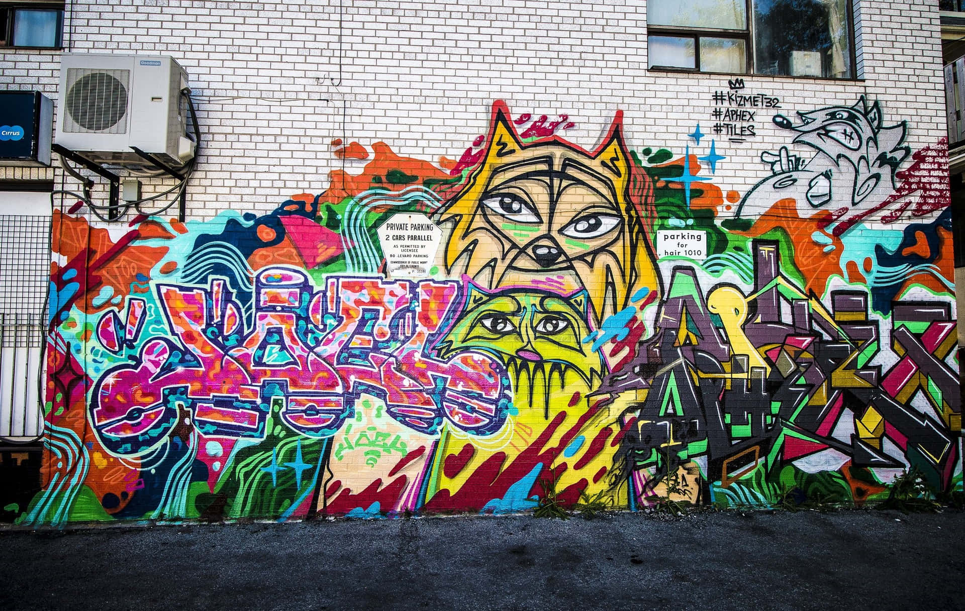 Illicit Street Art