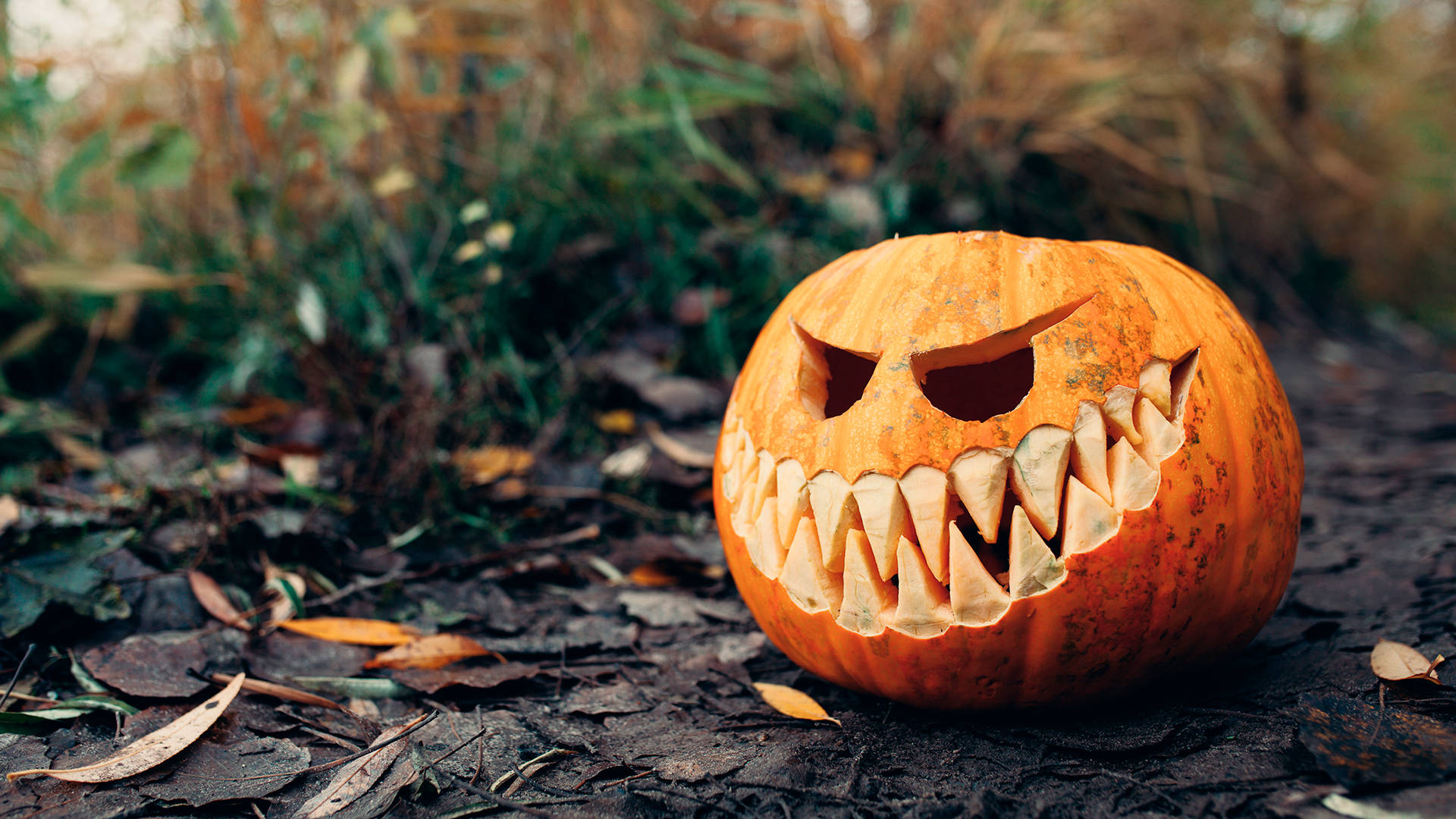 Illuminate The Night: A Flickering Pumpkin Lights The Way Background