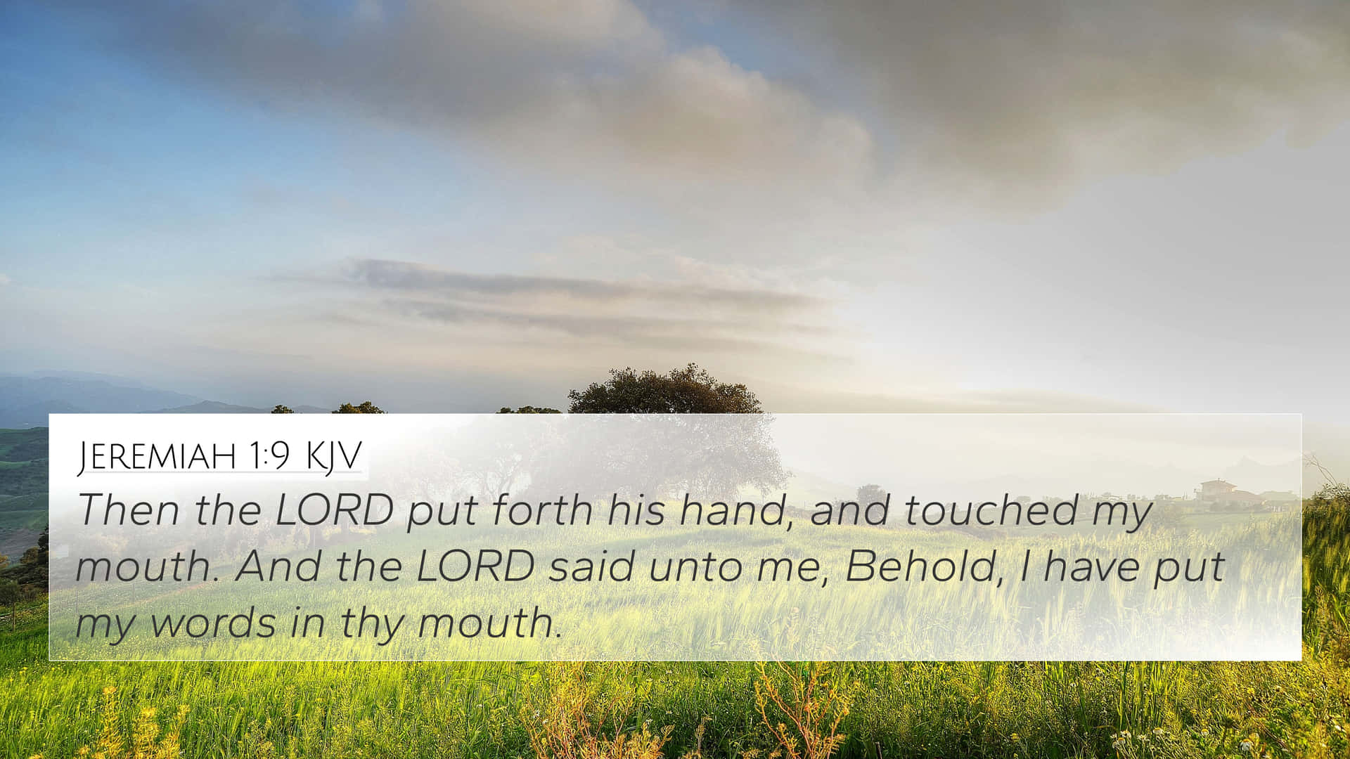 Illuminate Your Faith With The King James Bible Background