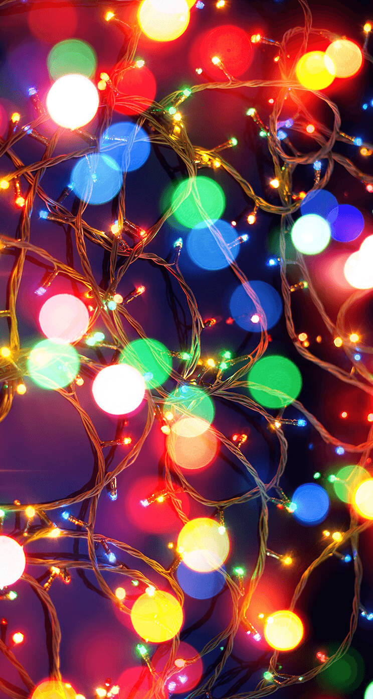 Illuminate Your Space This Holiday Season With Beautiful Christmas Lights! Background