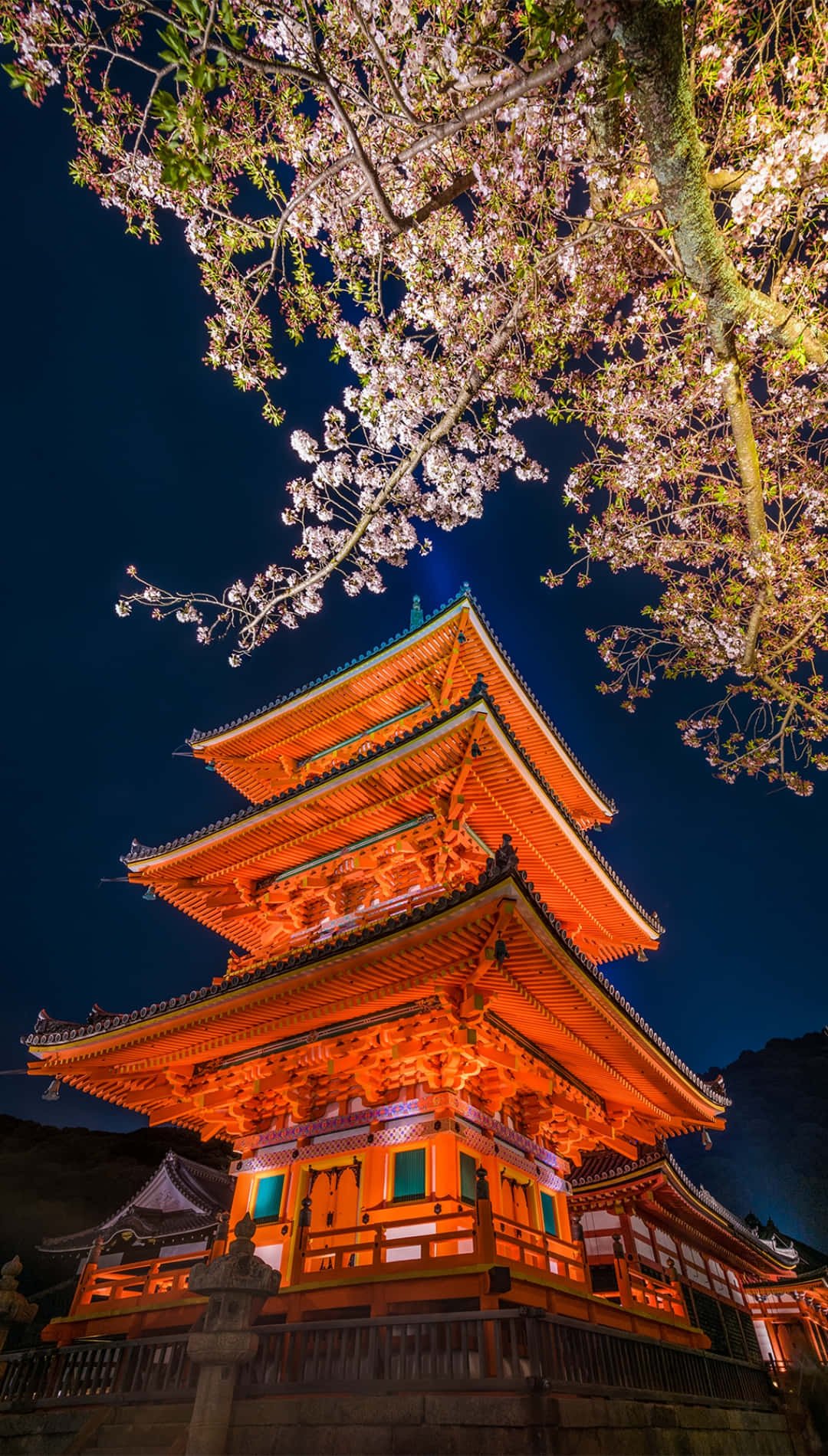 Illuminated_ Pagoda_with_ Cherry_ Blossoms_ Night_ Scene Background