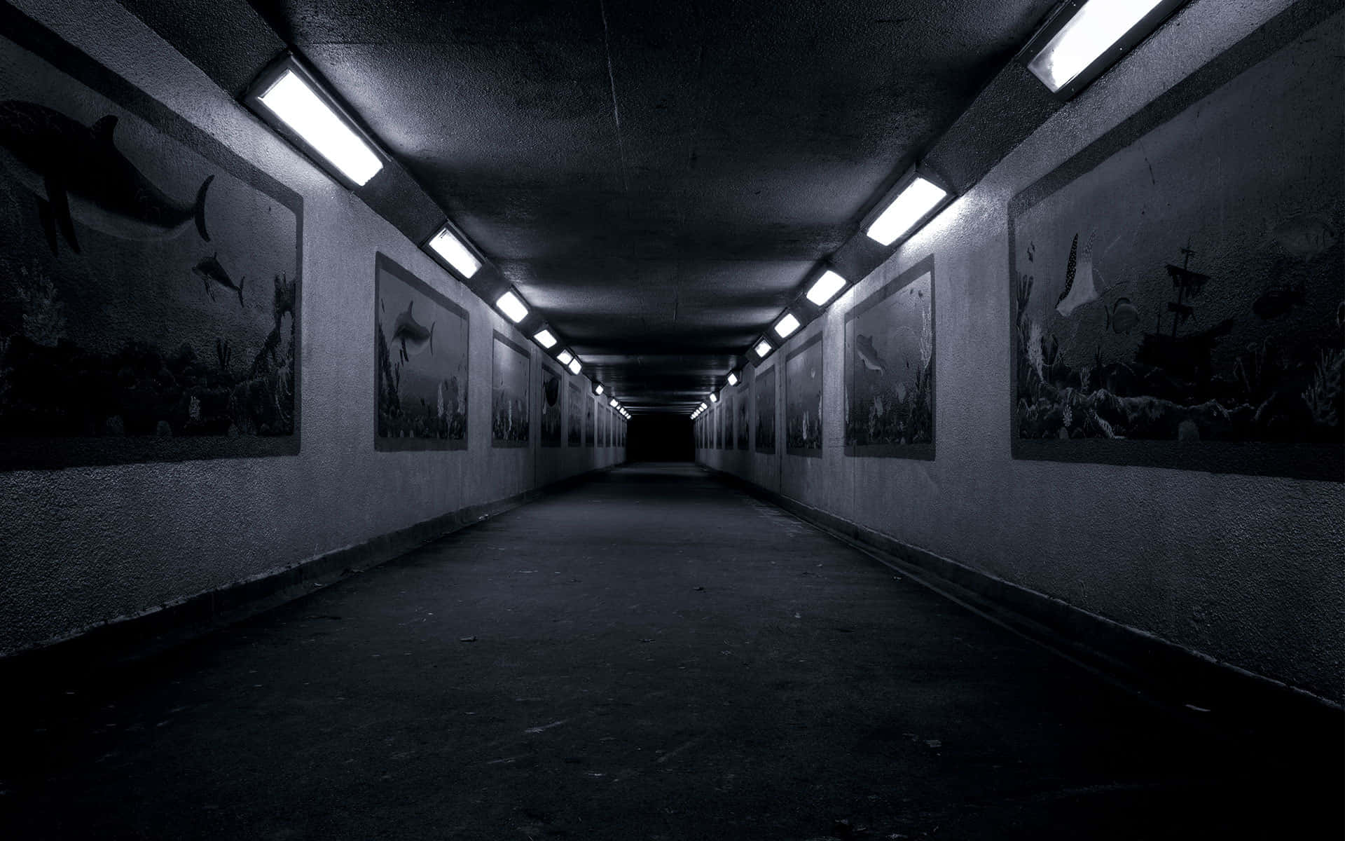 Illuminated Underground Passage