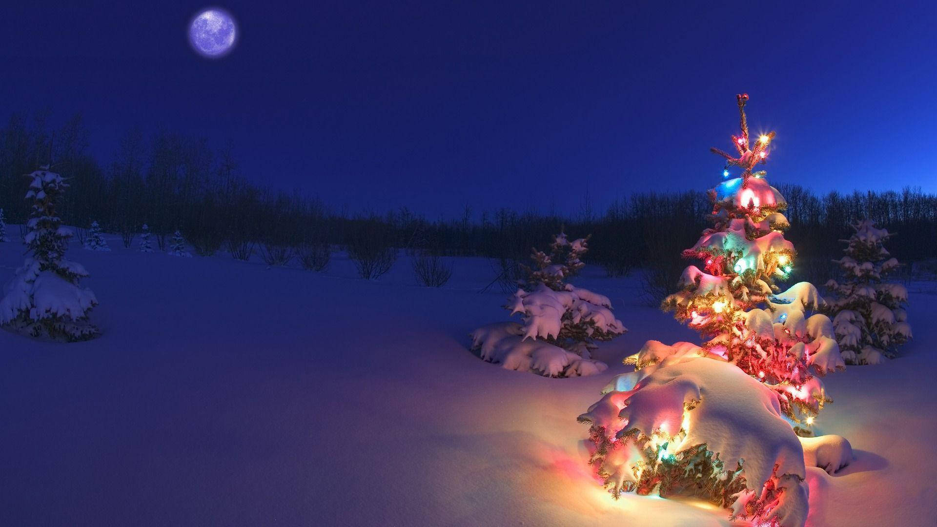 Illuminating Festive Christmas Tree Landscape