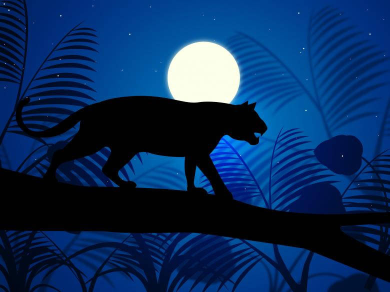 Illustrated Silhouette Of Tiger Under Moonlight Background