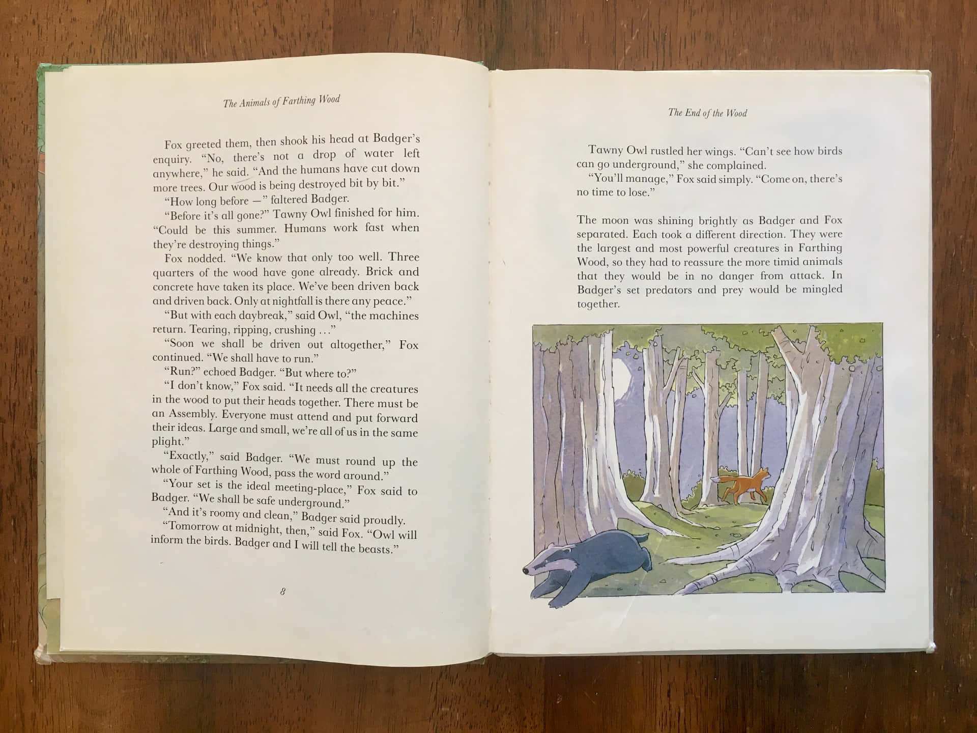 Illustrated The Animals Of Farthing Wood Book Page