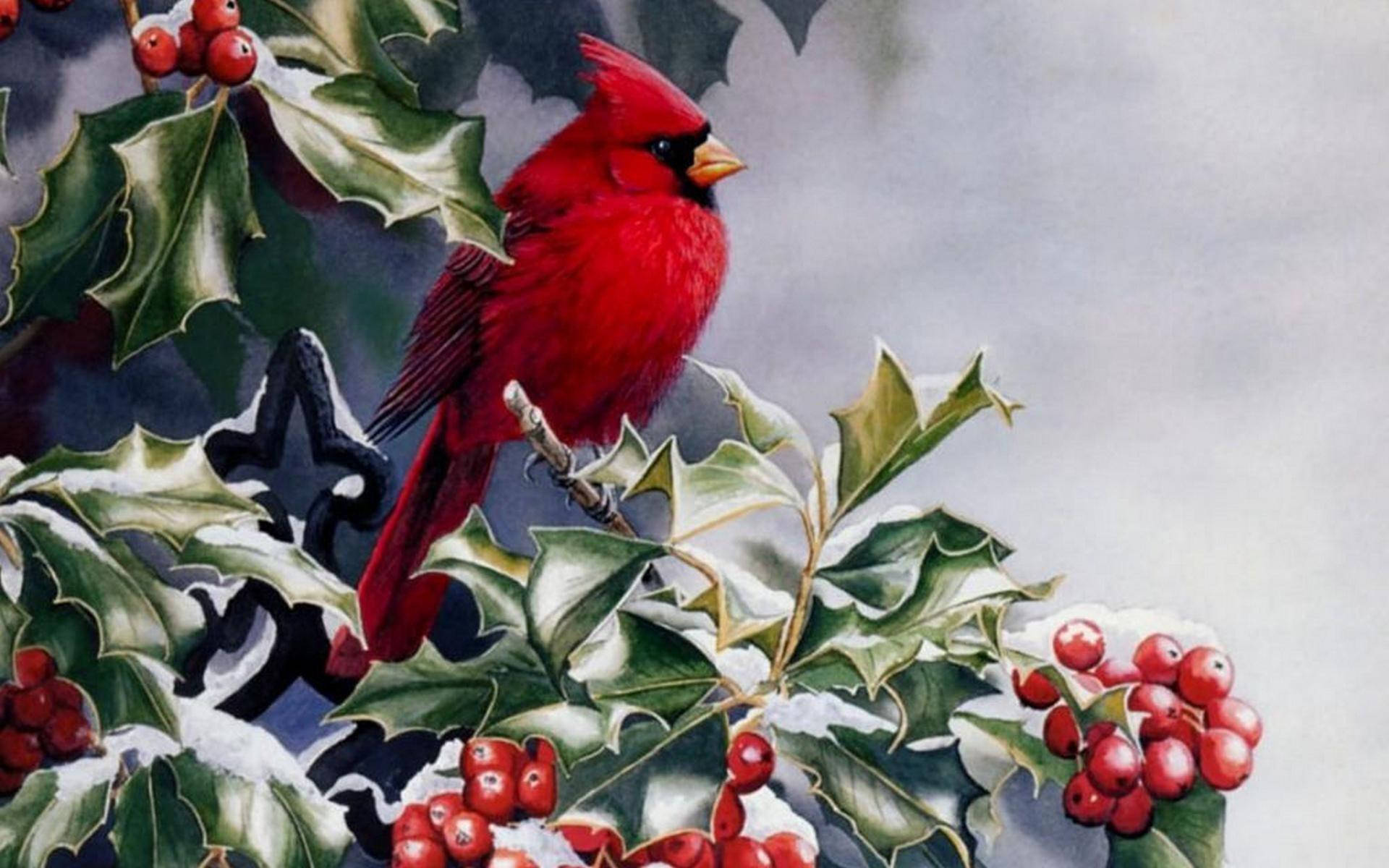 Illustration Of Cardinal Background