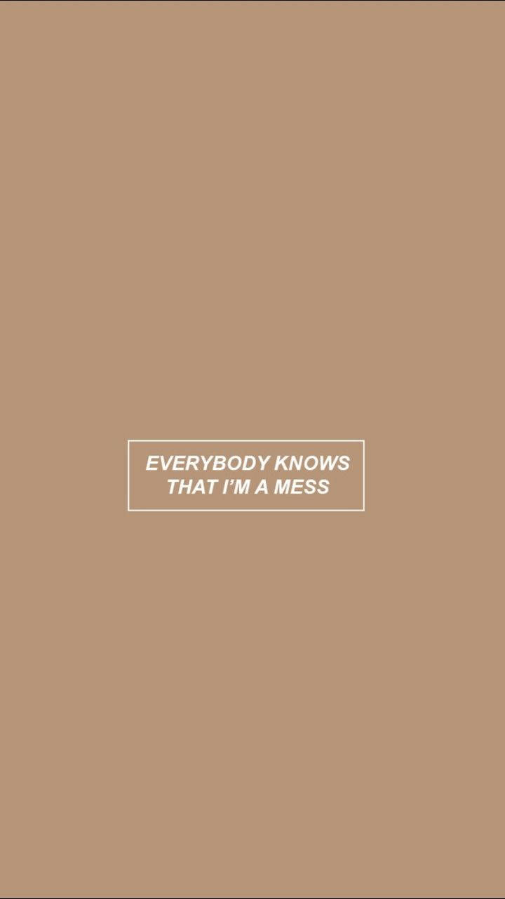 I’m A Mess Beige Aesthetic Phone Quote