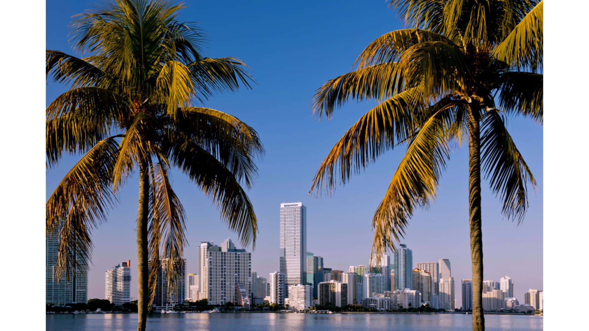 Image A Birds Eye View Of Downtown Miami Background