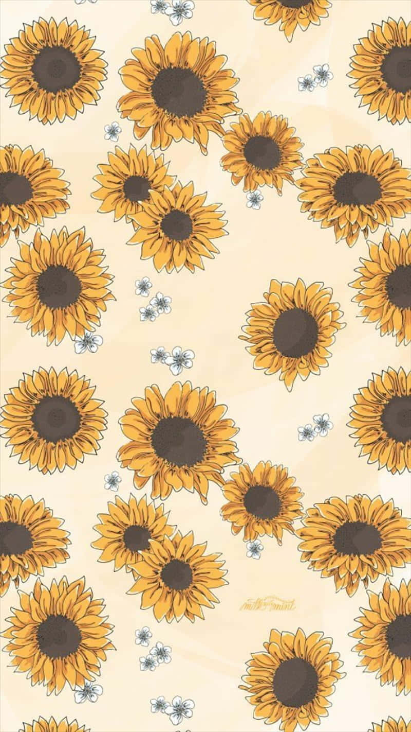 Image A Bright And Sunny Sunflower Stands Against A Blue Sky Backdrop Background