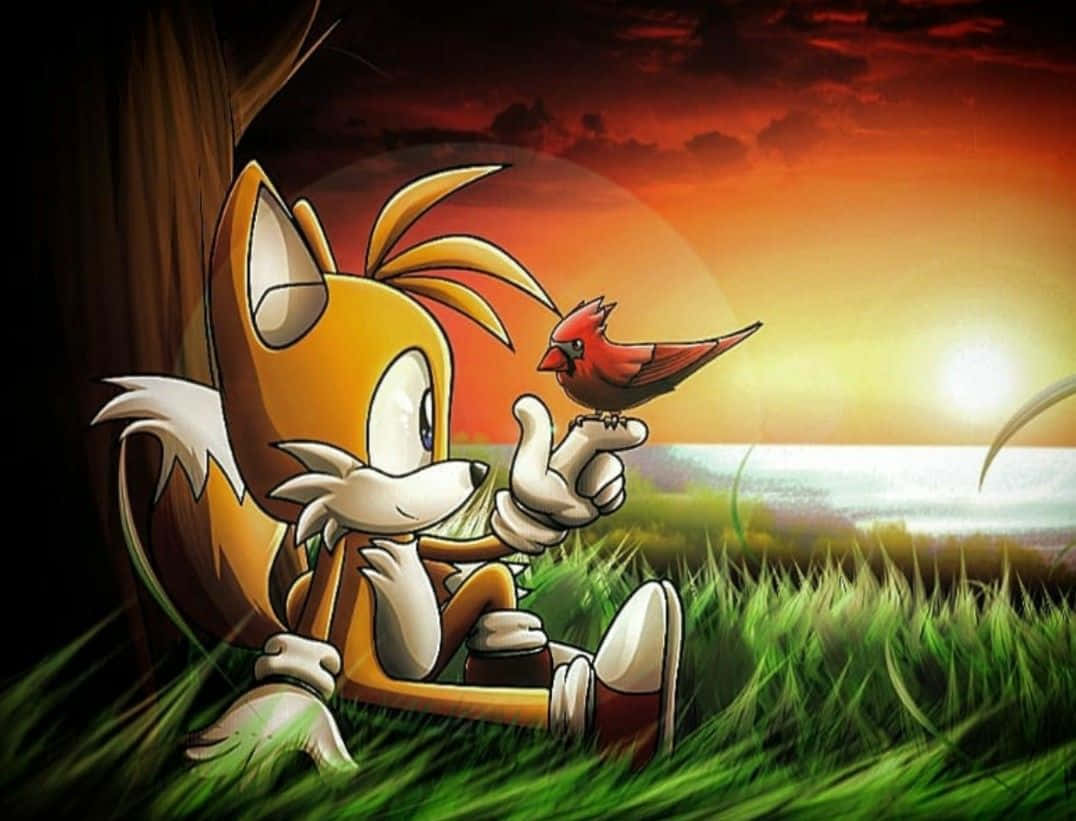 Image A Close-up Of Sonic's Pal, Tails