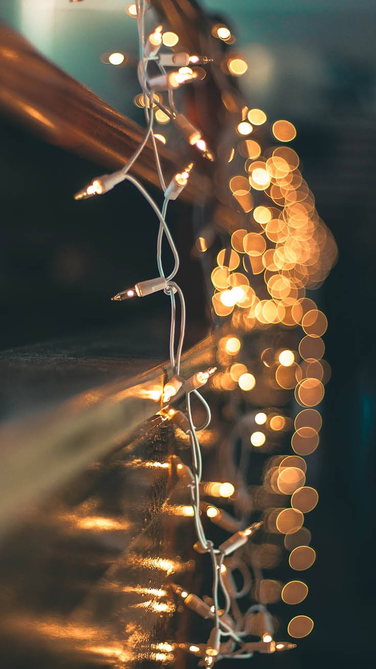 Image A Cozy Christmas Ambiance With Festive Blue And White Fairy Lights Background